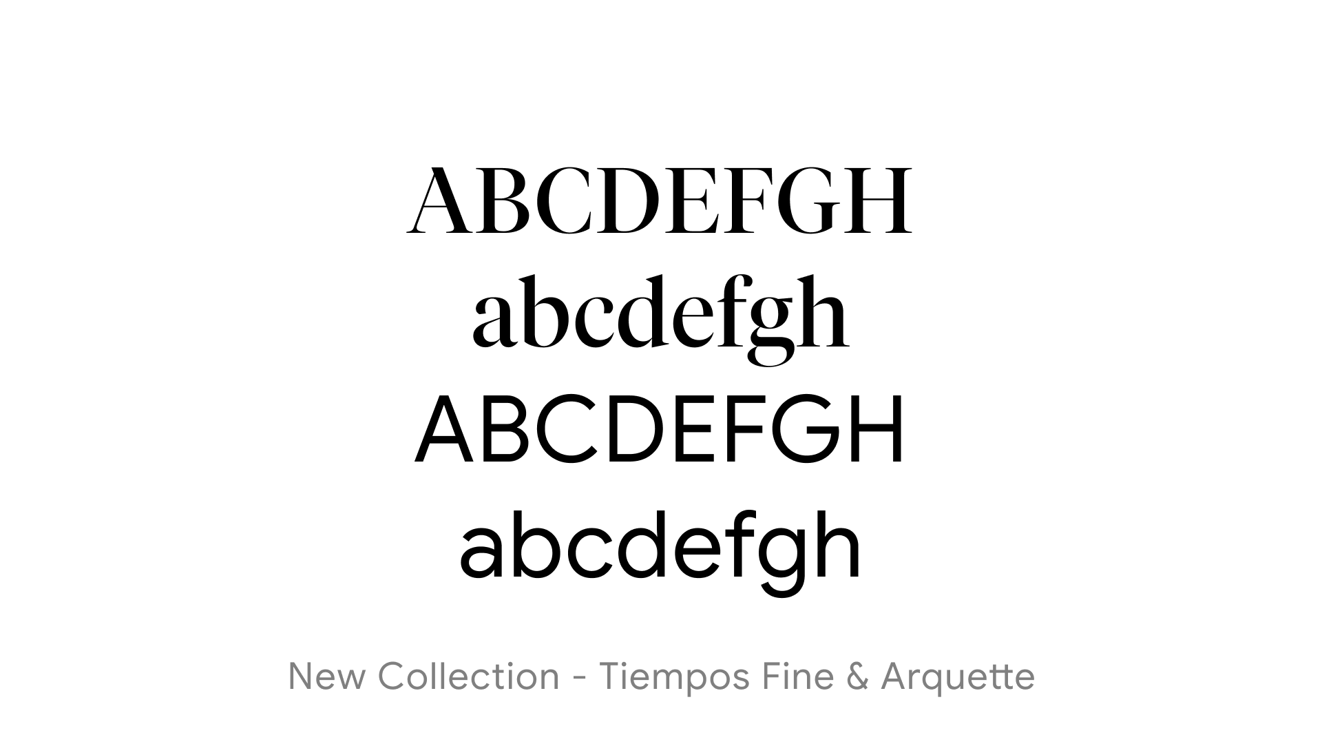 Alight Brand Updates