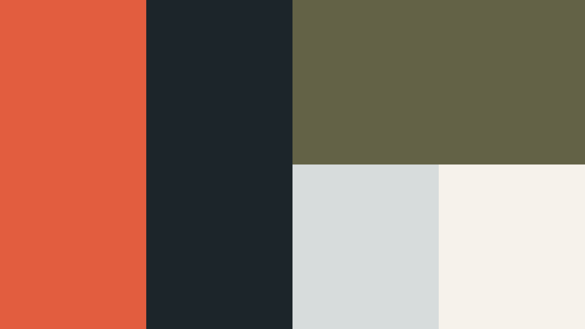 Colors selected for the primary brand